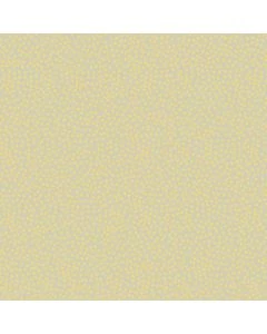 1H-1207-22137