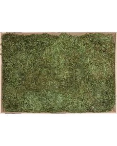 1U01807042200