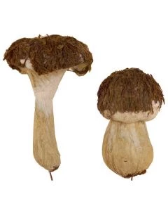 5074