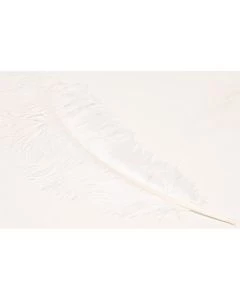 N41-0021-048
